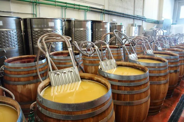 fermentacion de vinos