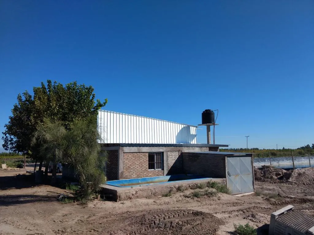 WhatsApp Image 2024-07-31 at 08.07.11