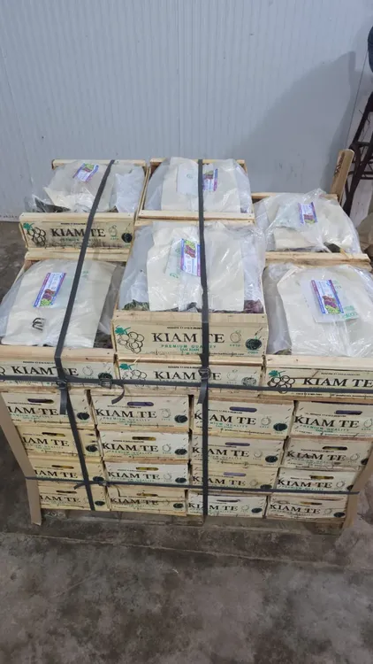 WhatsApp Image 2025-11-29 at 11.59.55 (1)