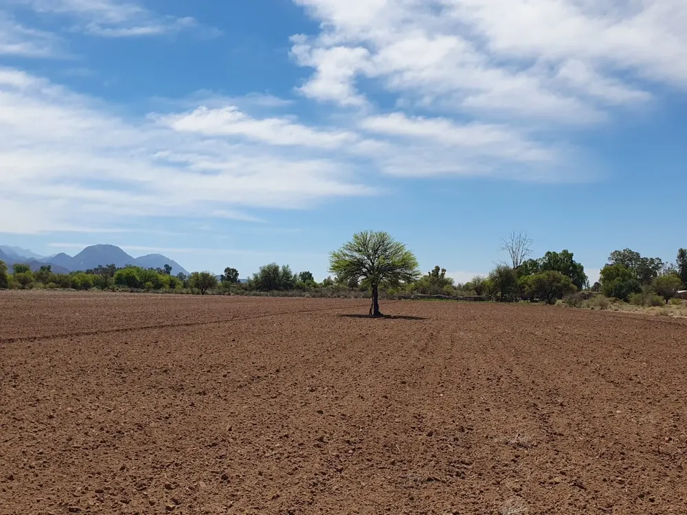 Preparación de tierra en Huaco