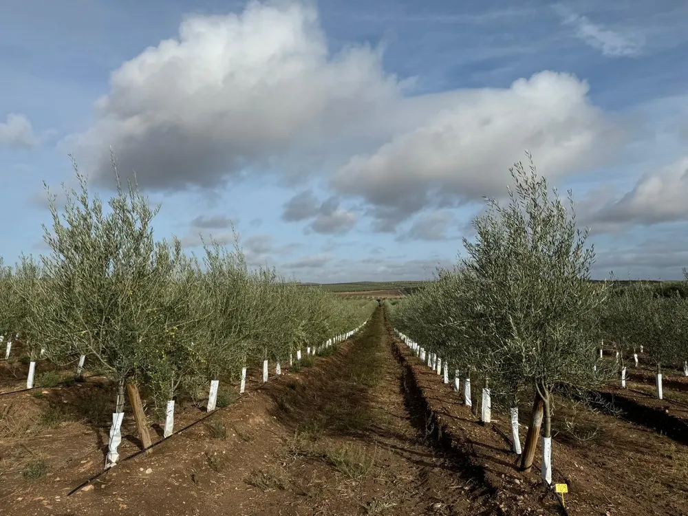 WhatsApp Image 2024-10-23 at 18.06.59