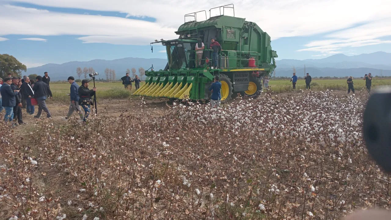 WhatsApp Image 2025-05-15 at 13.42.14