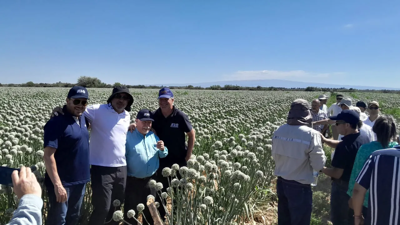 WhatsApp Image 2025-11-14 at 16.57.26 (1)