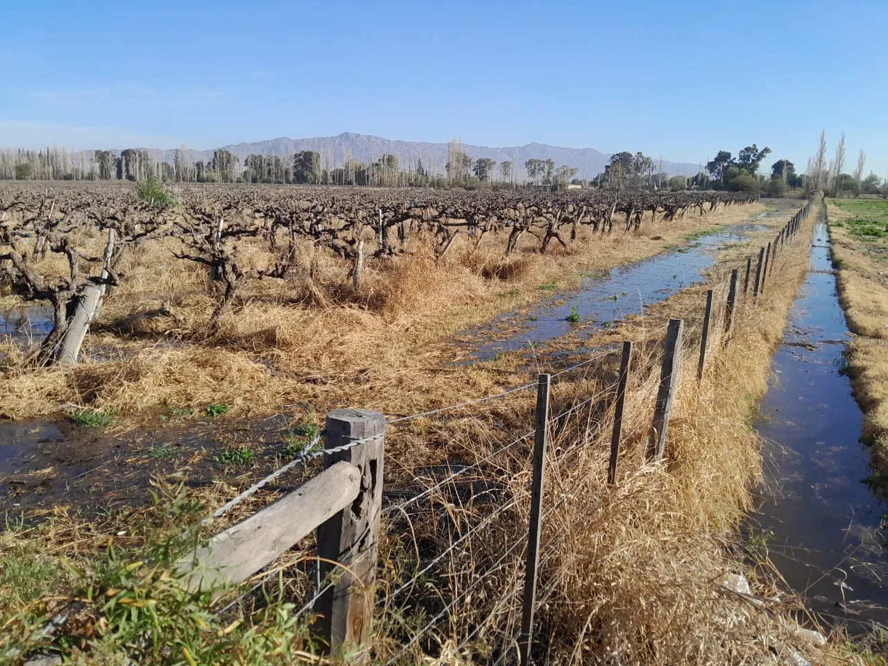 WhatsApp Image 2024-10-14 at 13.50.44