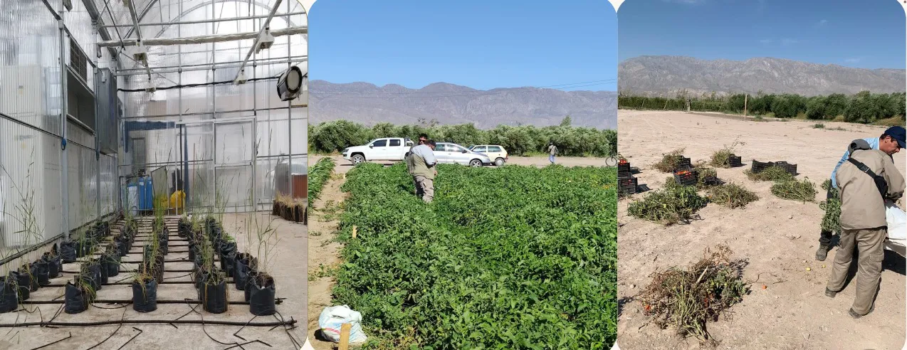 WhatsApp Image 2026-01-16 at 21.30.03 (1)