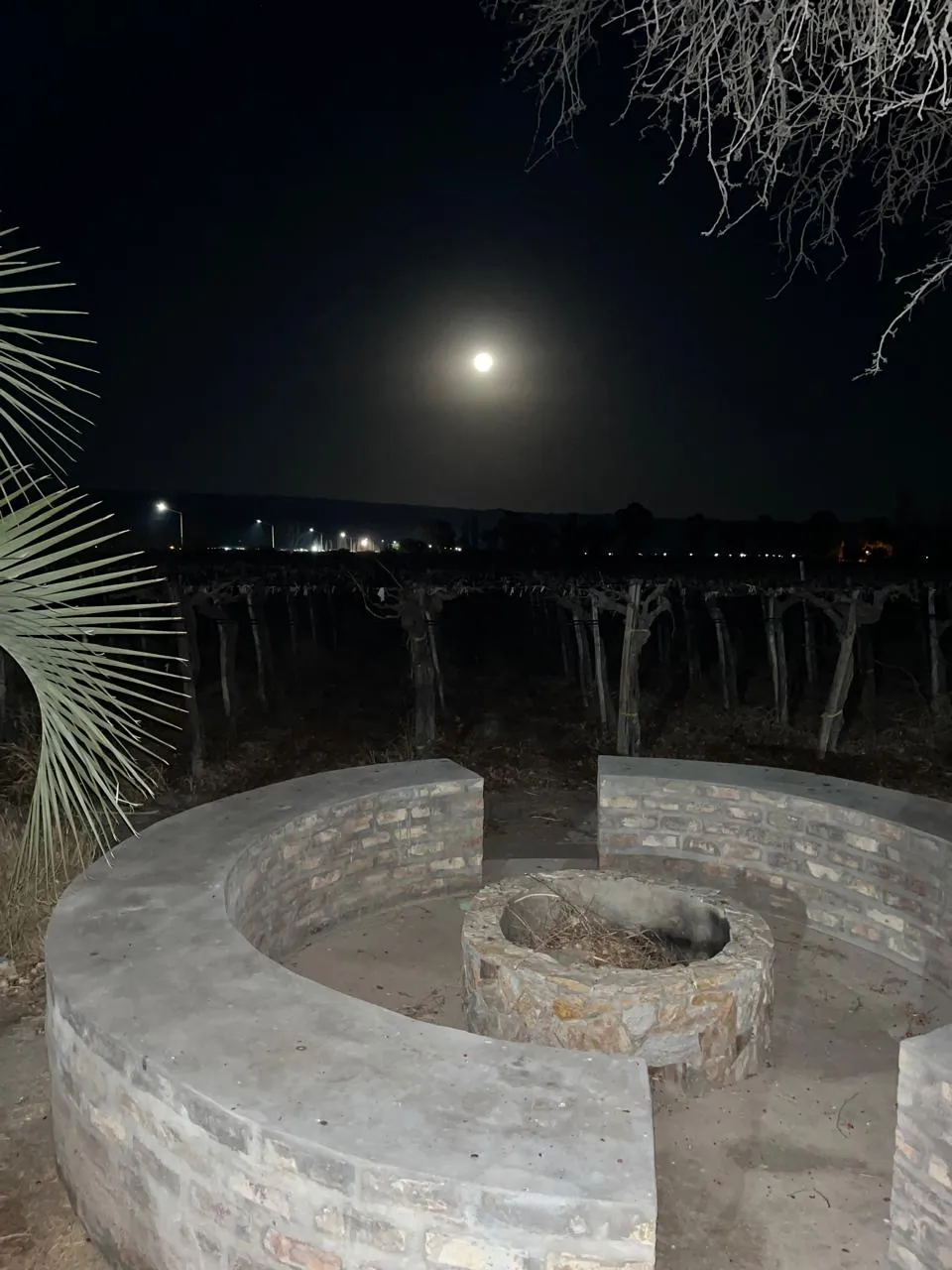 WhatsApp Image 2025-01-21 at 19.48.19 (2)