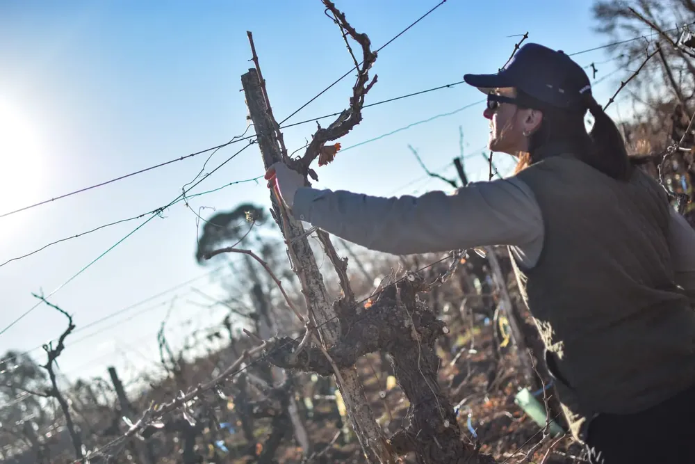 WhatsApp Image 2024-07-04 at 12.56.40