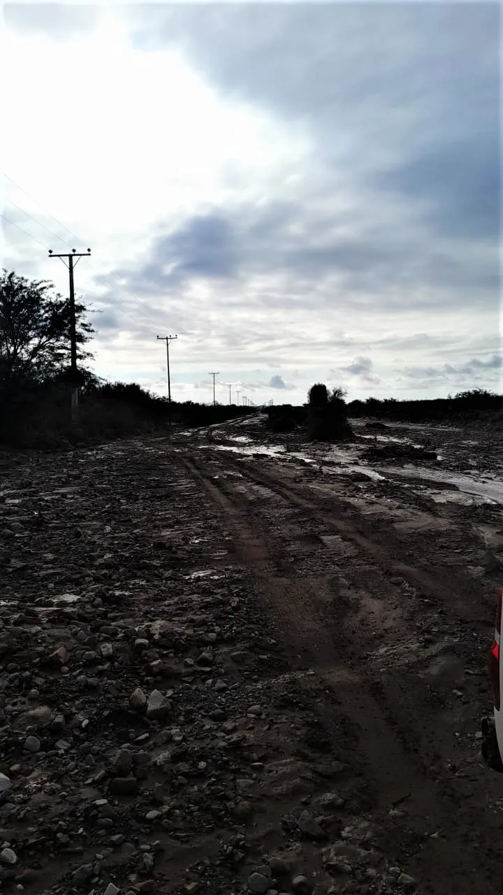 camino campo grande1