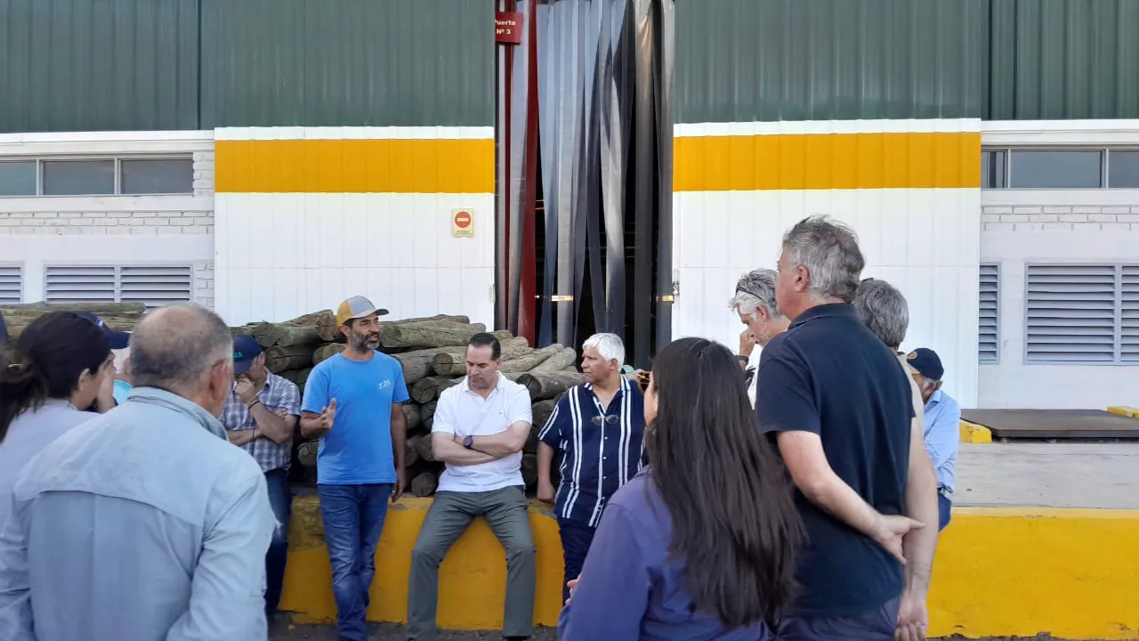 WhatsApp Image 2025-11-14 at 16.56.54