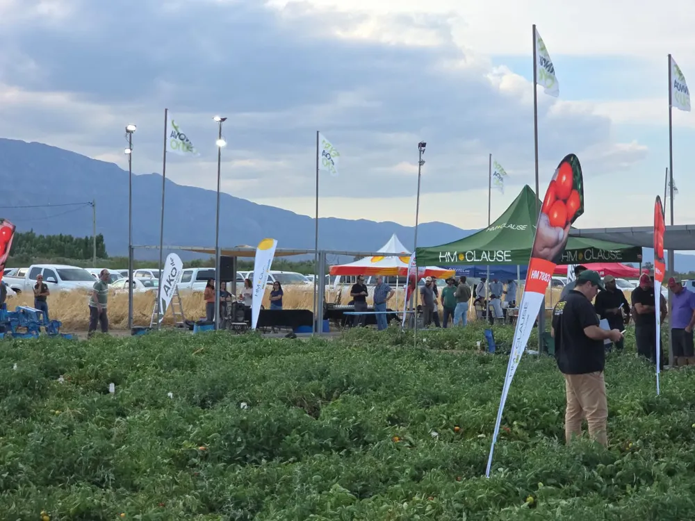 WhatsApp Image 2026-01-13 at 21.27.40 (2)