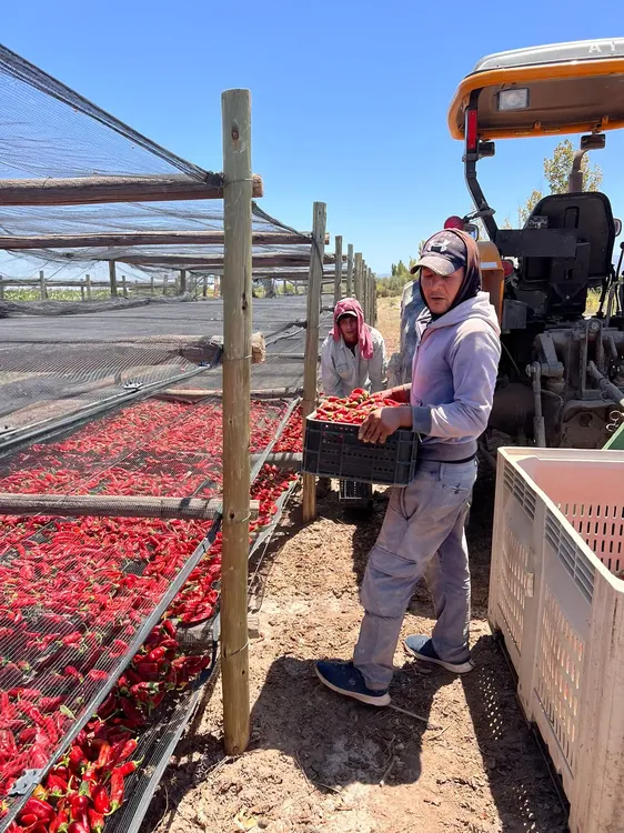 WhatsApp Image 2024-07-31 at 08.05.59 (1)