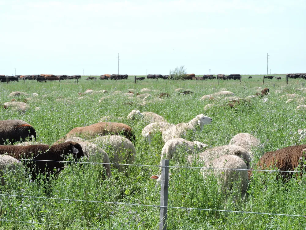 WhatsApp Image 2024-09-09 at 16.11.30 (1)