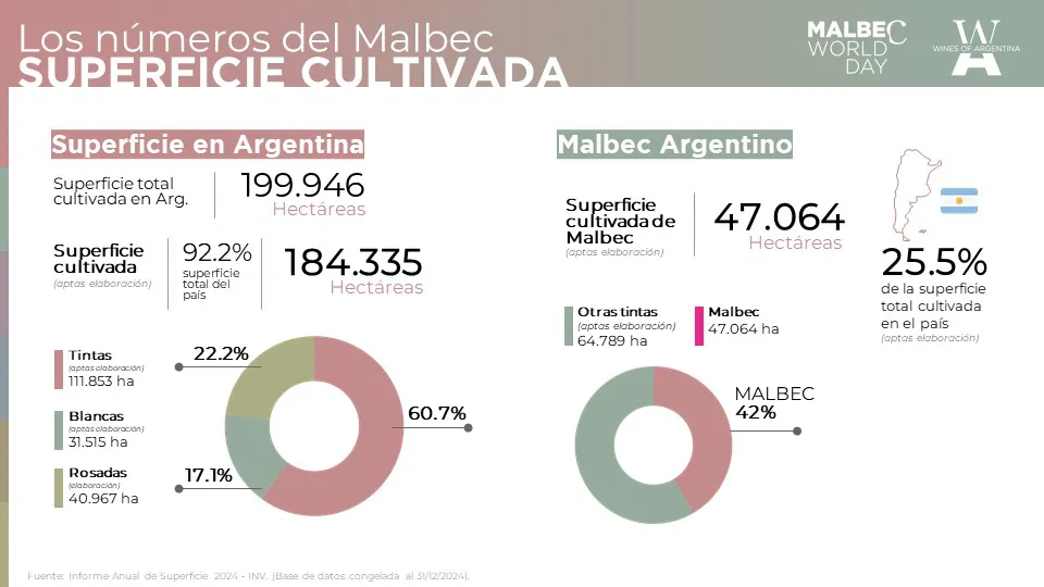 Foto - Cifras Malbec (1)