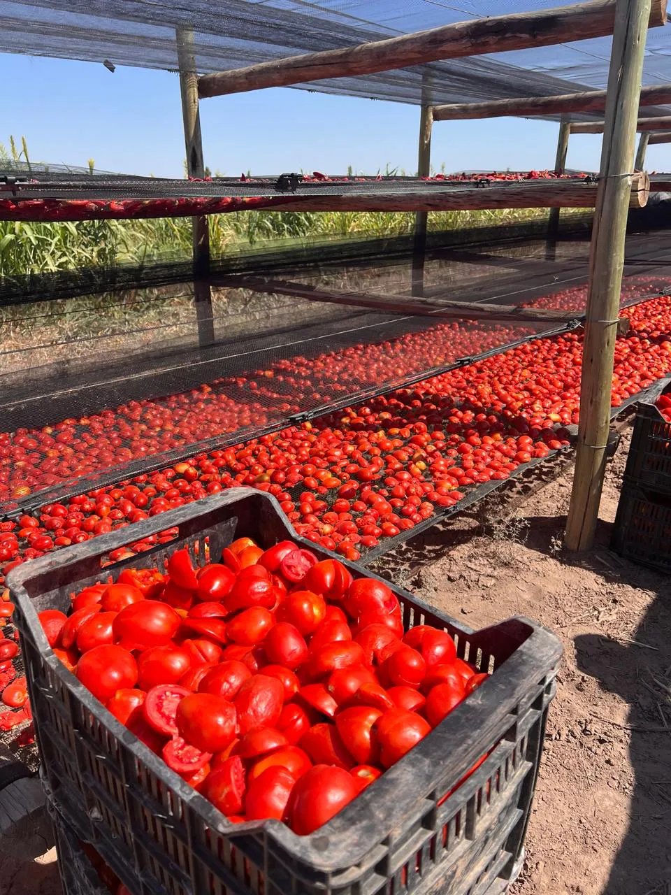 WhatsApp Image 2024-07-31 at 08.03.49