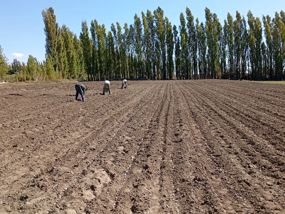 WhatsApp Image 2026-04-07 at 11.43.51