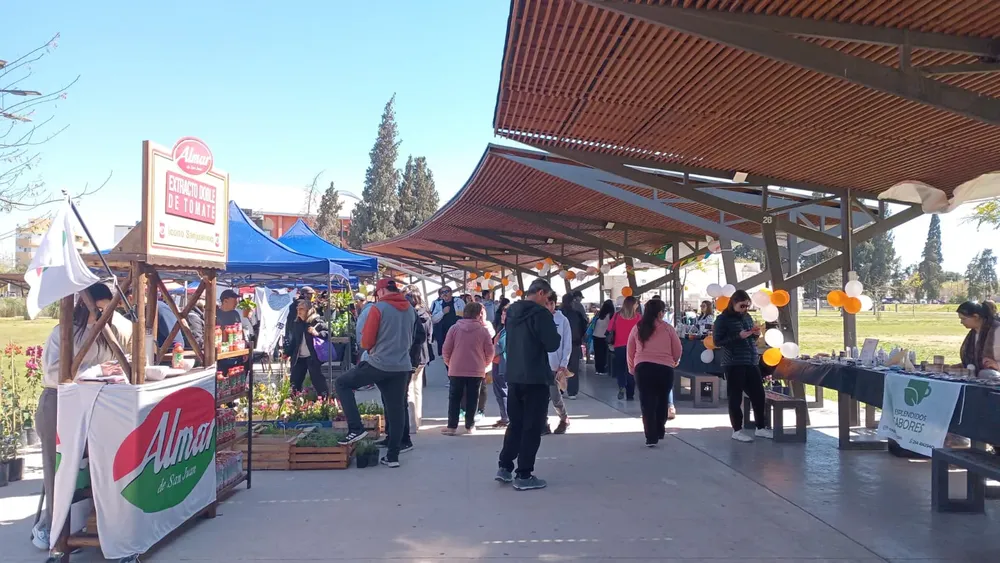 WhatsApp Image 2025-09-06 at 12.45.30