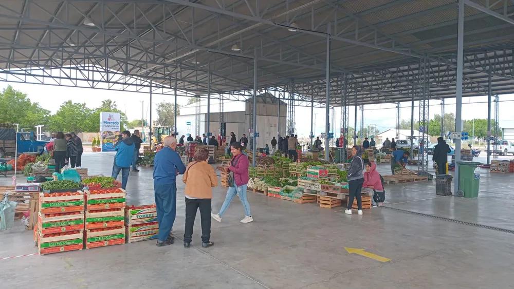 Mercado Agroproductivo