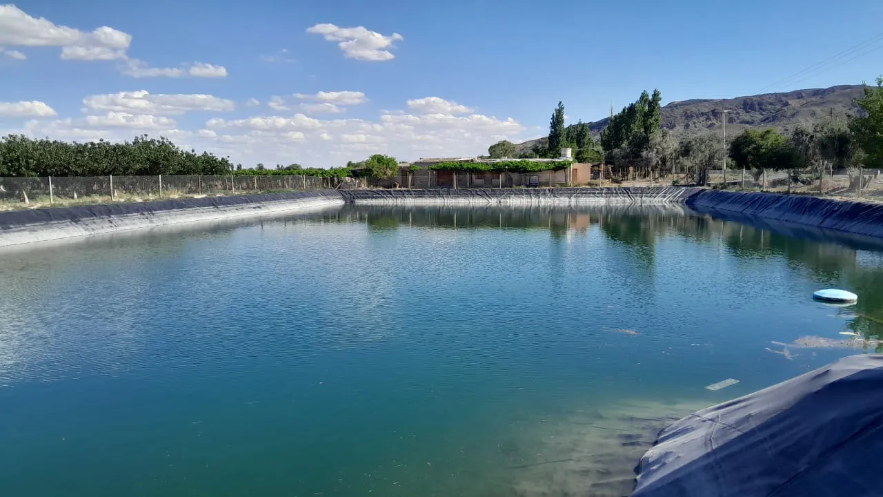 WhatsApp Image 2025-11-14 at 16.57.30