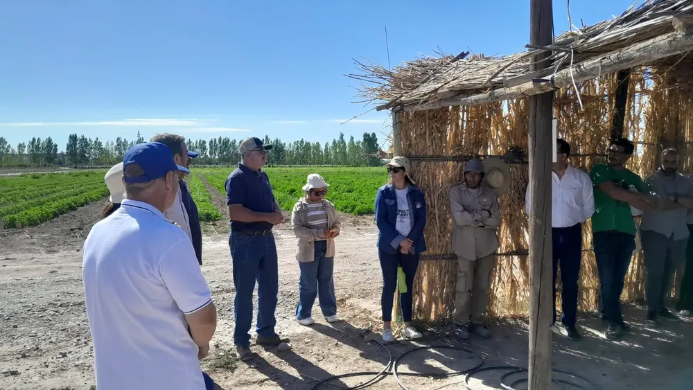 WhatsApp Image 2025-11-14 at 16.56.46