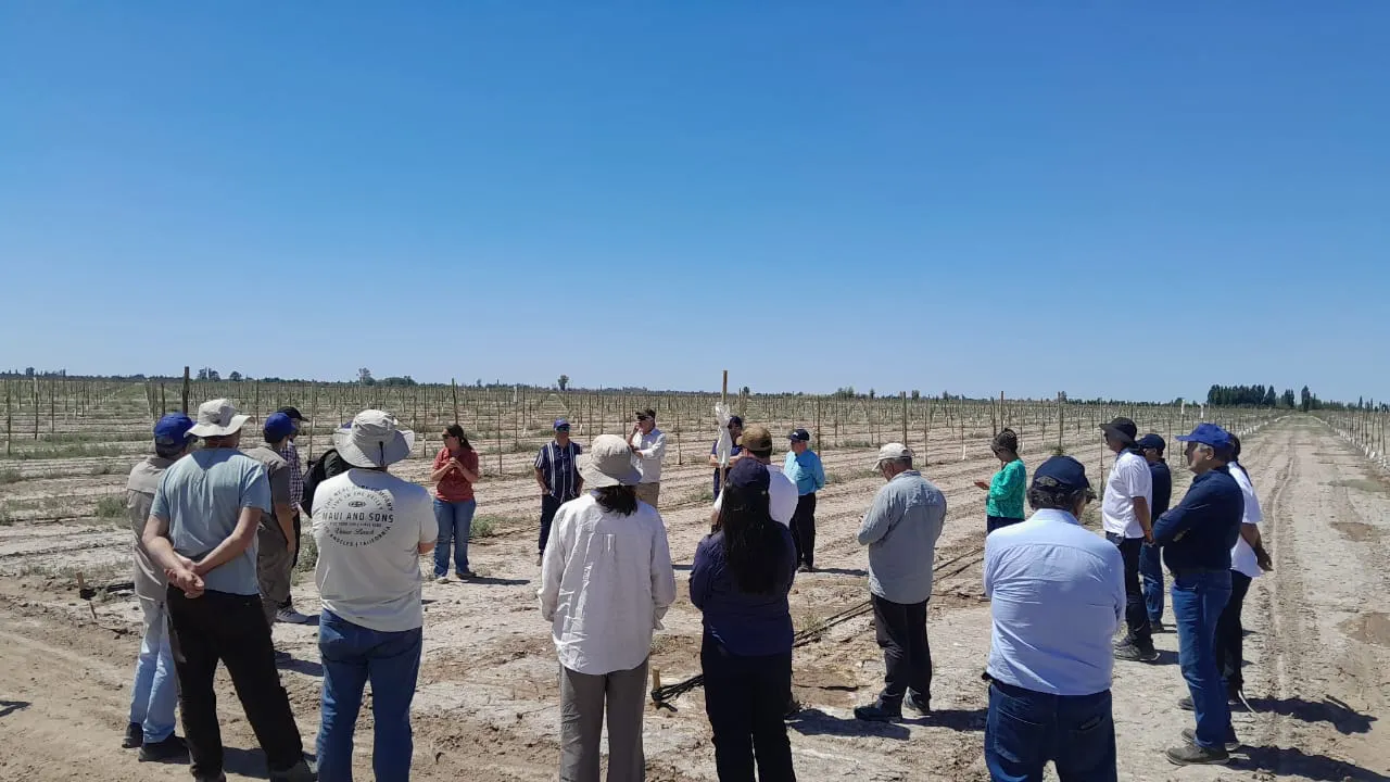 WhatsApp Image 2025-11-14 at 16.57.29