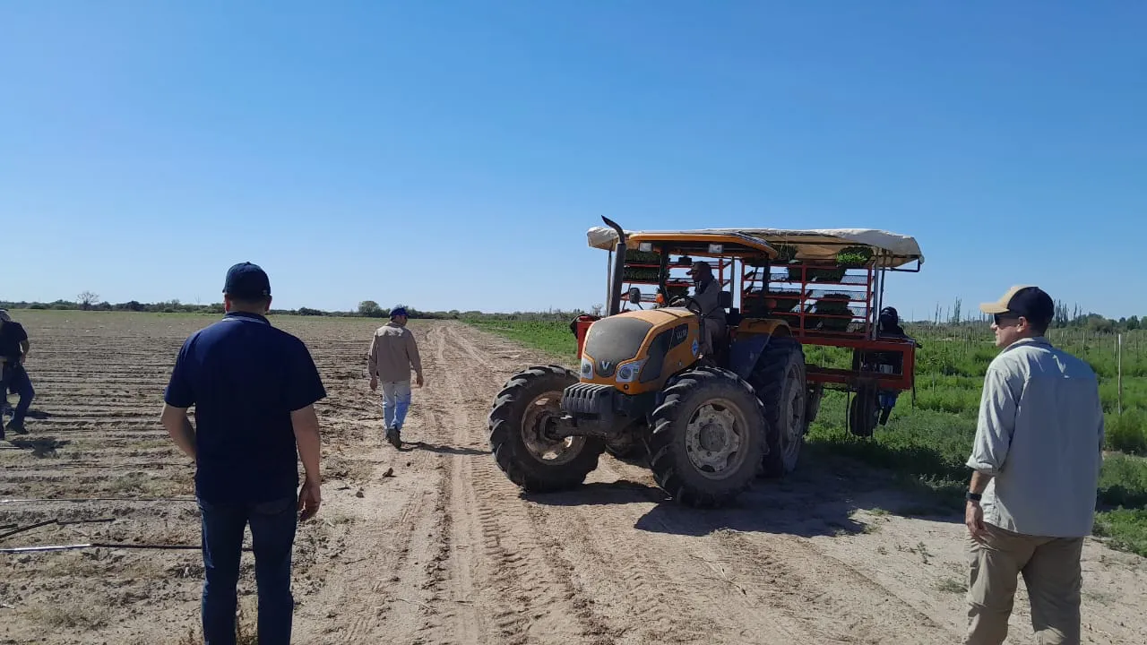 WhatsApp Image 2025-11-14 at 16.57.26