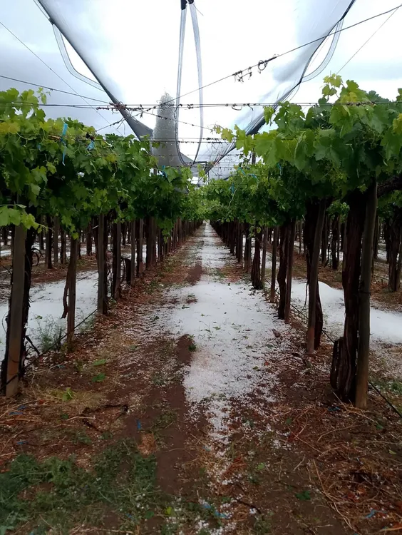 WhatsApp Image 2025-11-07 at 12.37.33