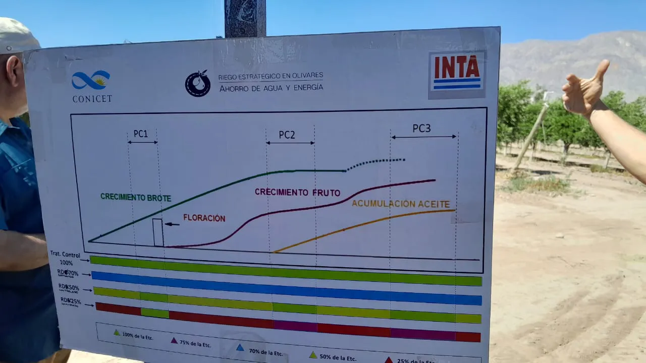 WhatsApp Image 2025-11-14 at 16.56.48