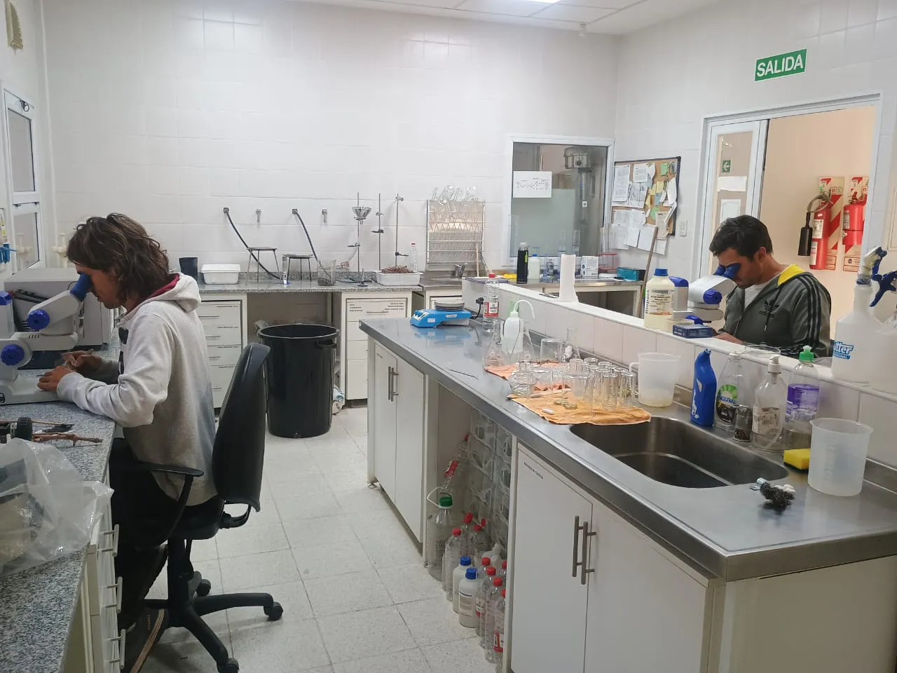 WhatsApp Image 2025-09-23 at 14.56.22