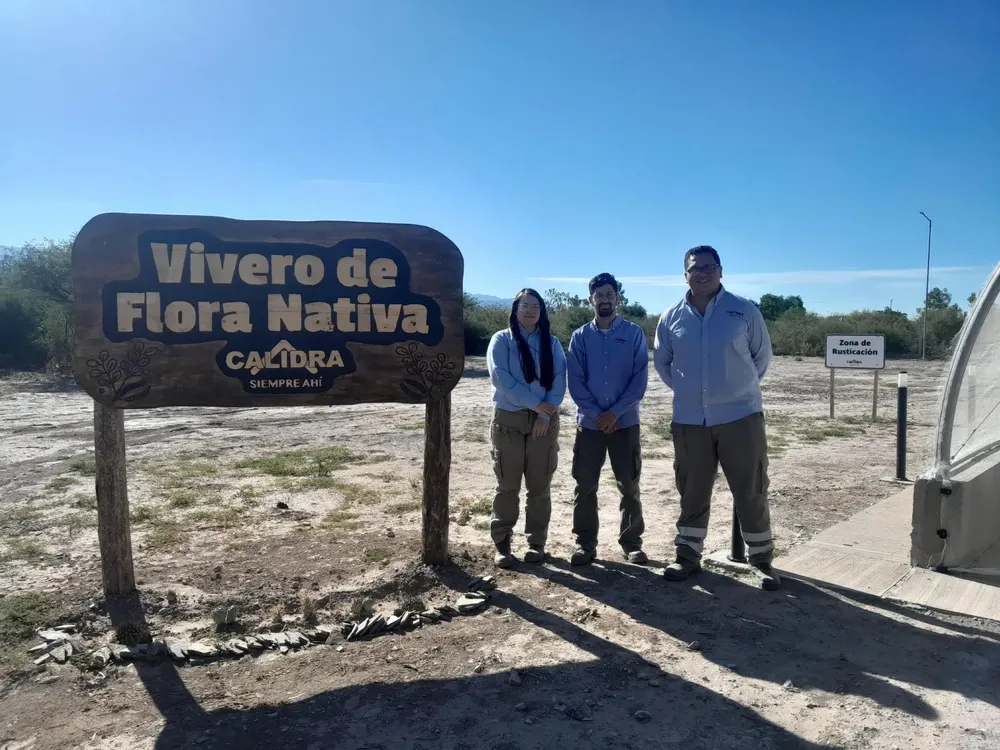 Proyecto Vivero B