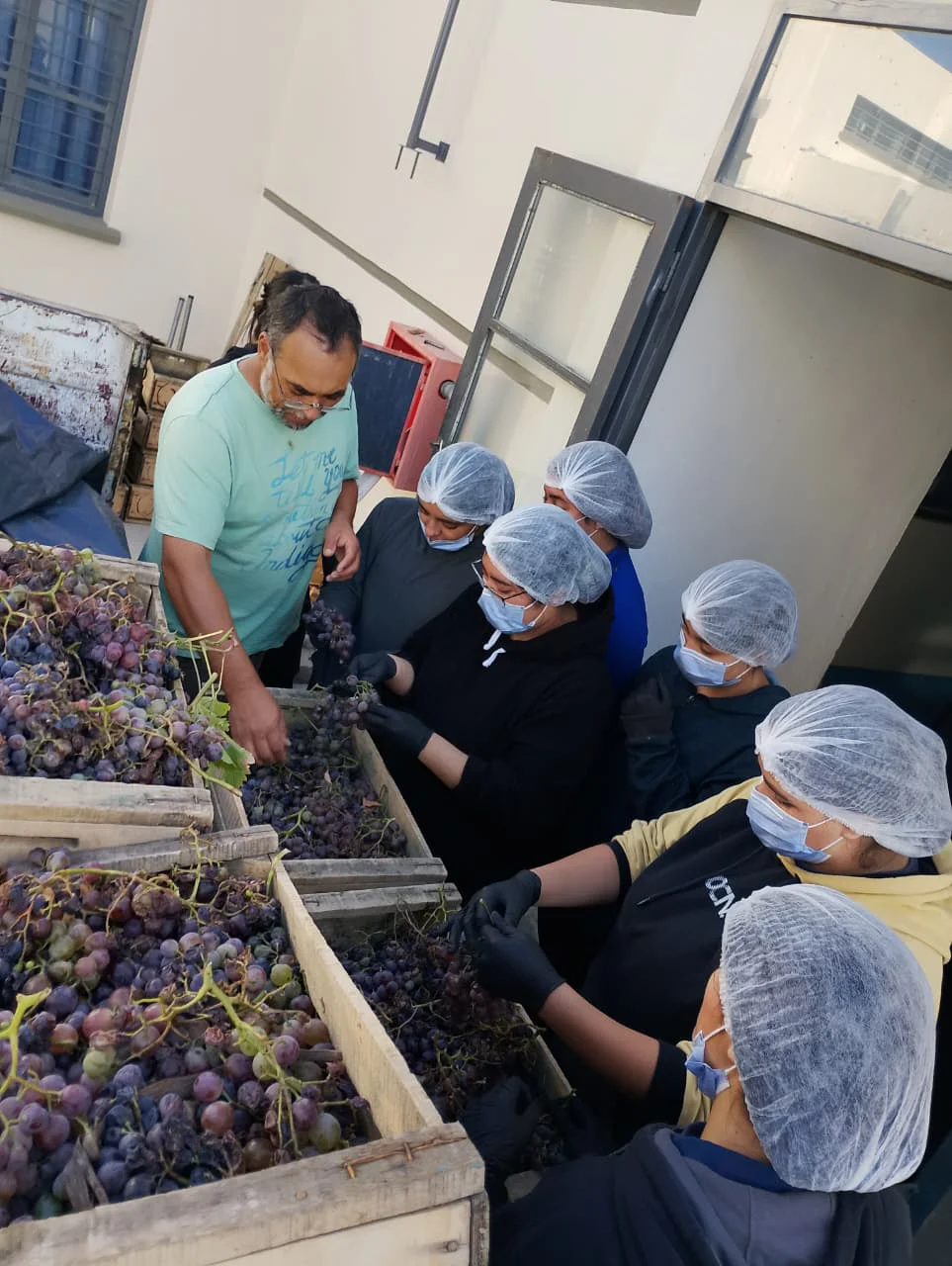 uvas