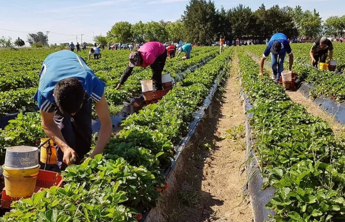 Trabajadores-Rurales-02-1