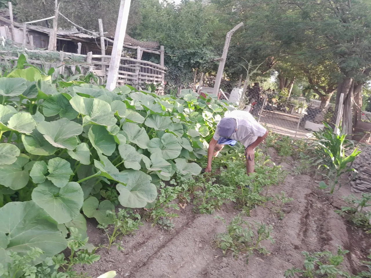 WhatsApp Image 2025-05-05 at 10.34.37