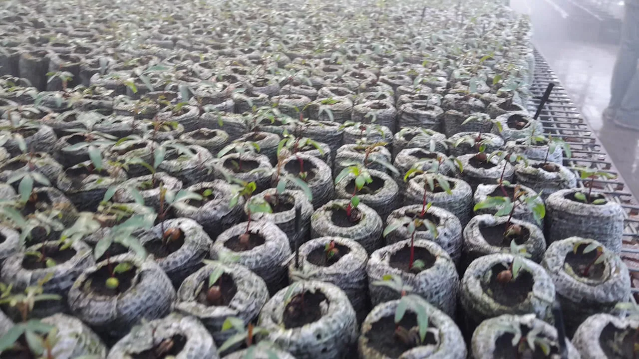 WhatsApp Image 2025-11-14 at 16.56.47 (2)