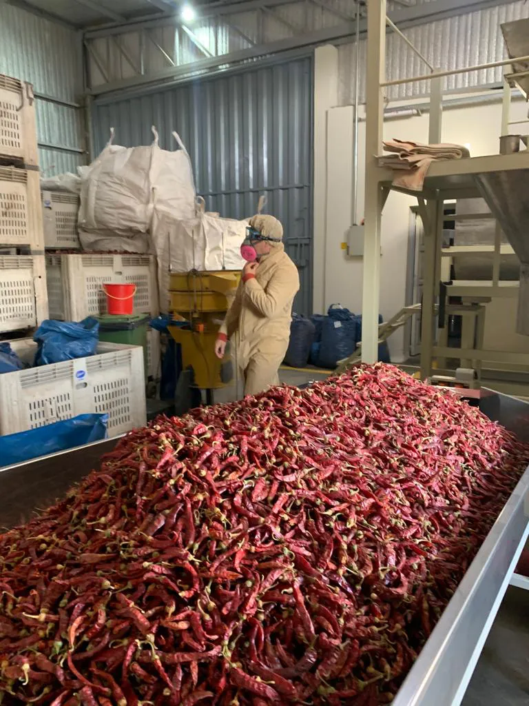 WhatsApp Image 2024-07-31 at 08.10.27 (1)