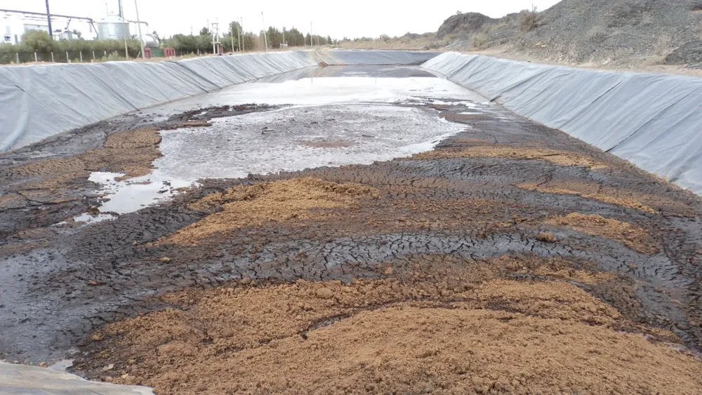 WhatsApp Image 2026-04-06 at 12.18.40