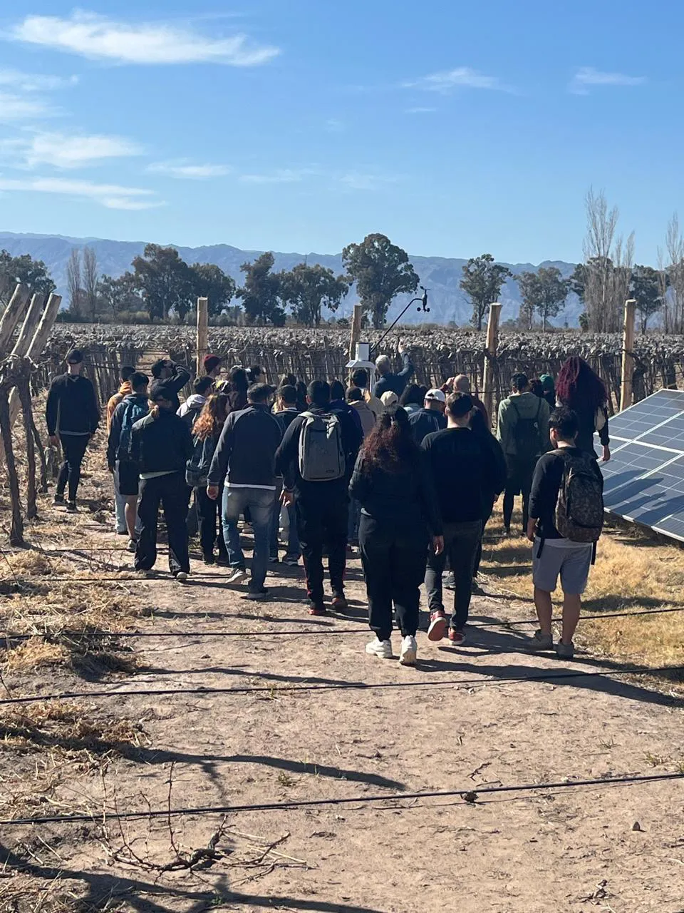 WhatsApp Image 2025-01-21 at 19.48.19