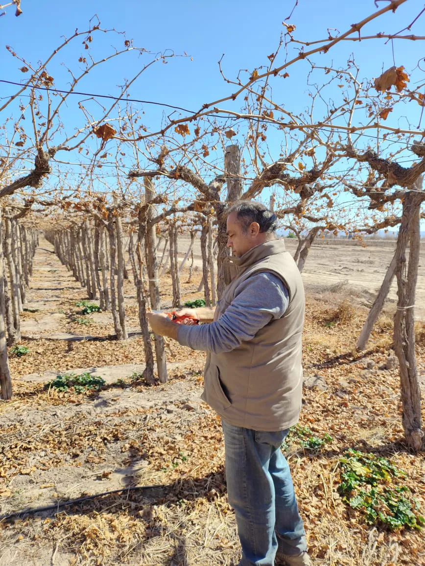 WhatsApp Image 2025-09-23 at 14.56.21