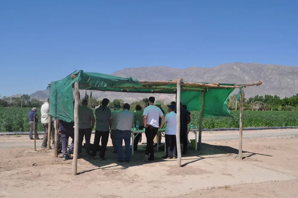 WhatsApp Image 2025-11-14 at 16.56.42 (1)