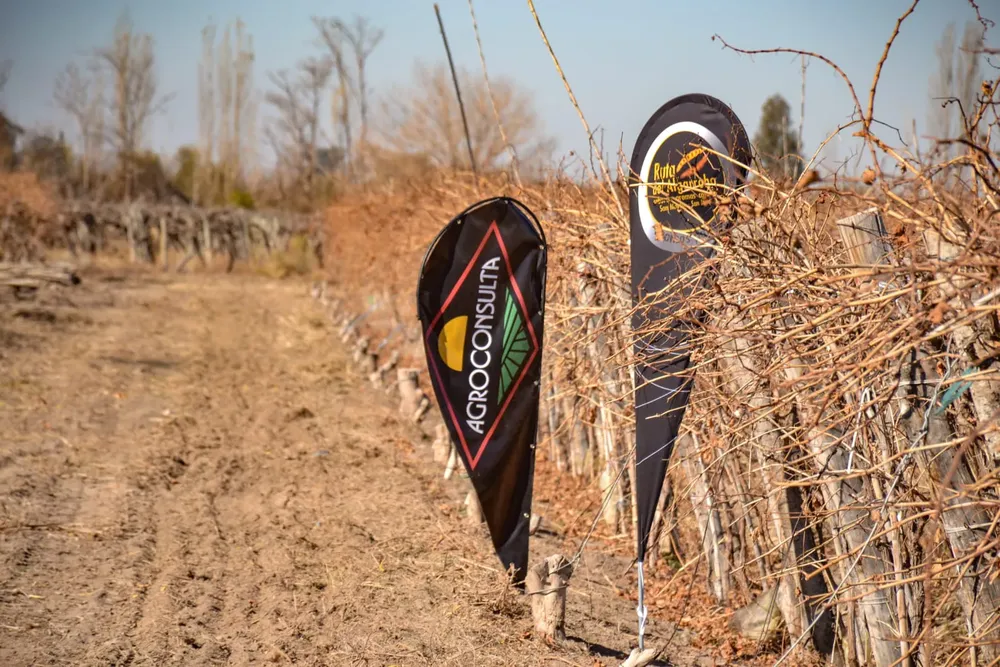 WhatsApp Image 2024-07-04 at 12.56.41