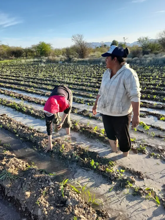 WhatsApp Image 2025-07-23 at 20.07.53 (1)