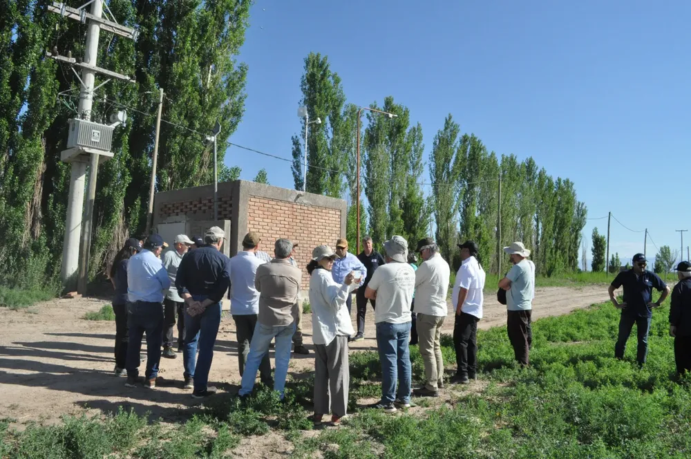 WhatsApp Image 2025-11-14 at 16.56.47