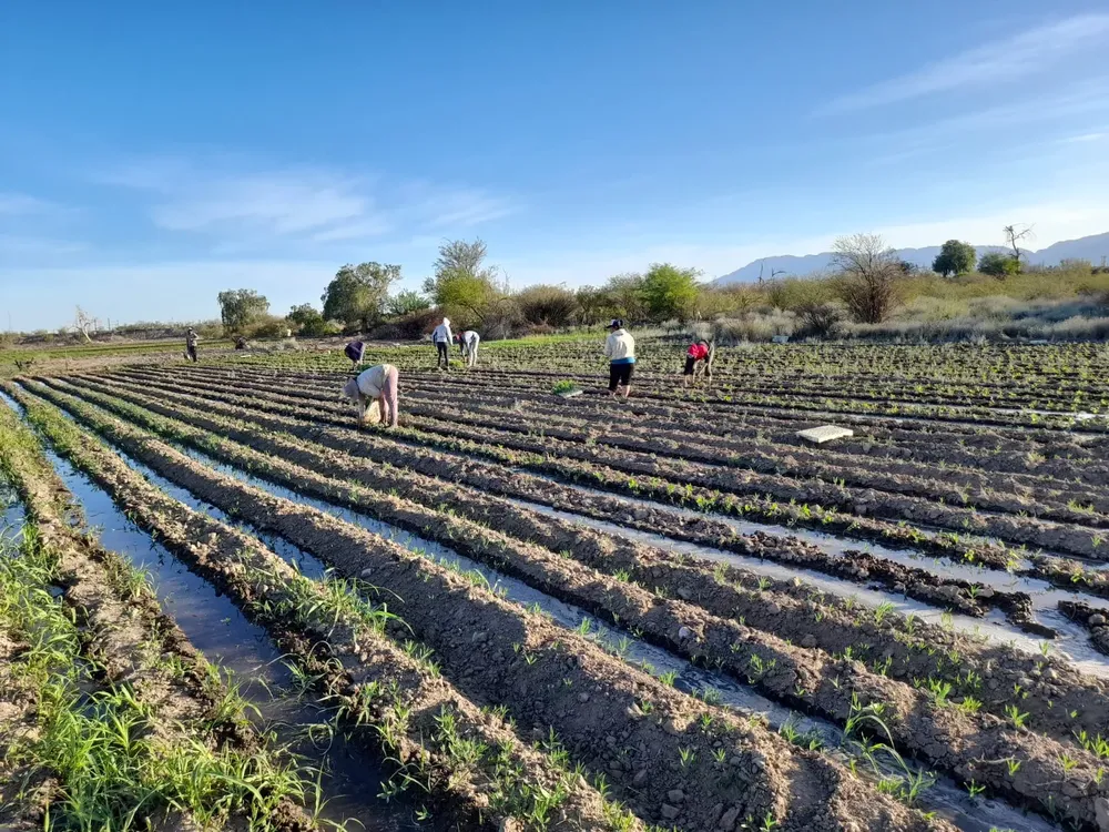 WhatsApp Image 2025-07-23 at 20.07.55