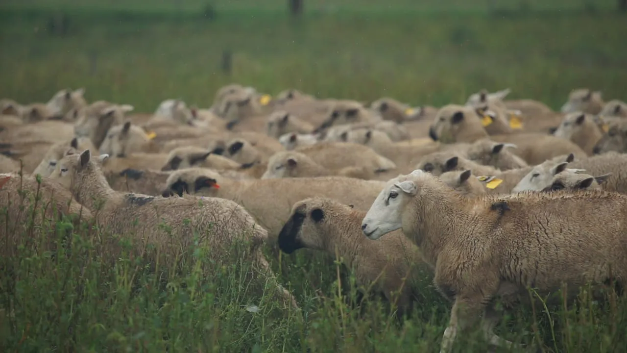 WhatsApp Image 2024-09-09 at 16.11.30