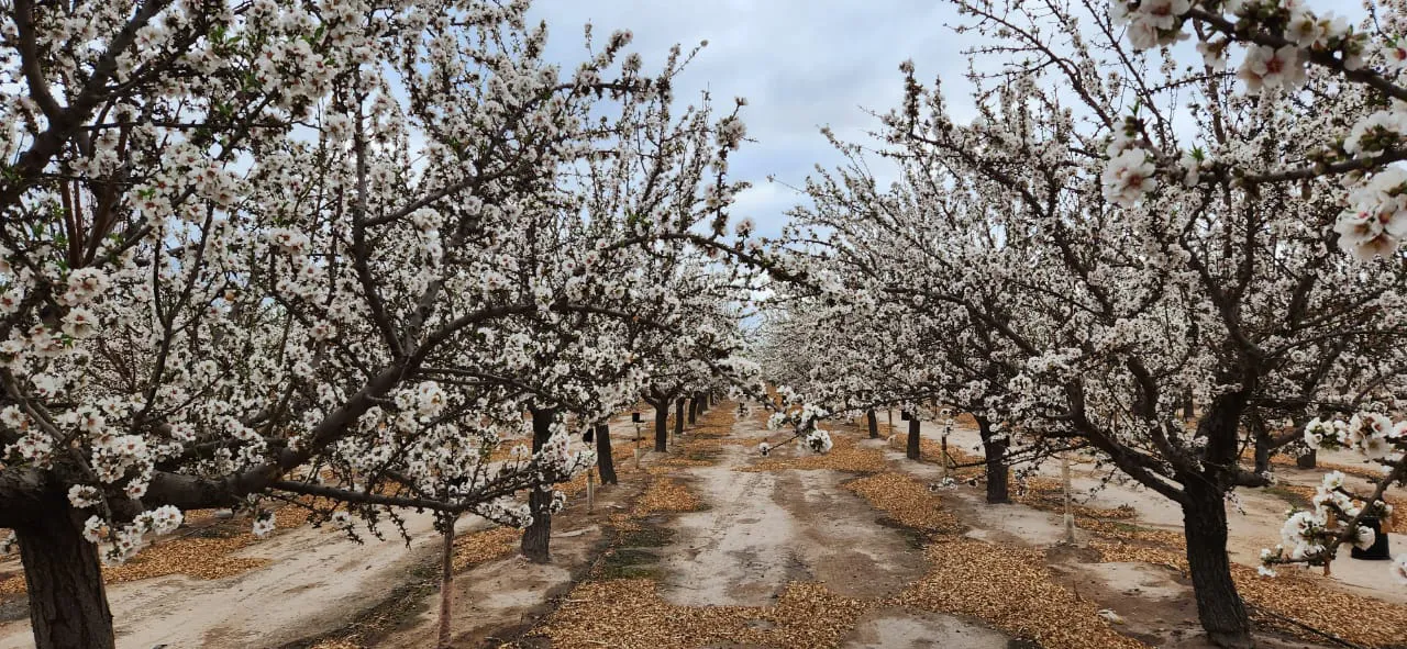 WhatsApp Image 2025-08-13 at 17.17.17