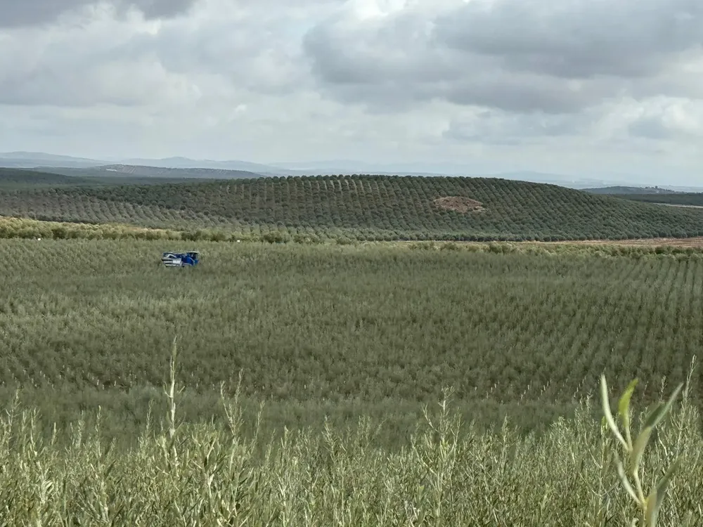 WhatsApp Image 2024-10-23 at 18.07.00