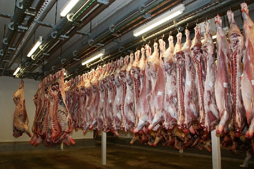 reses vacas