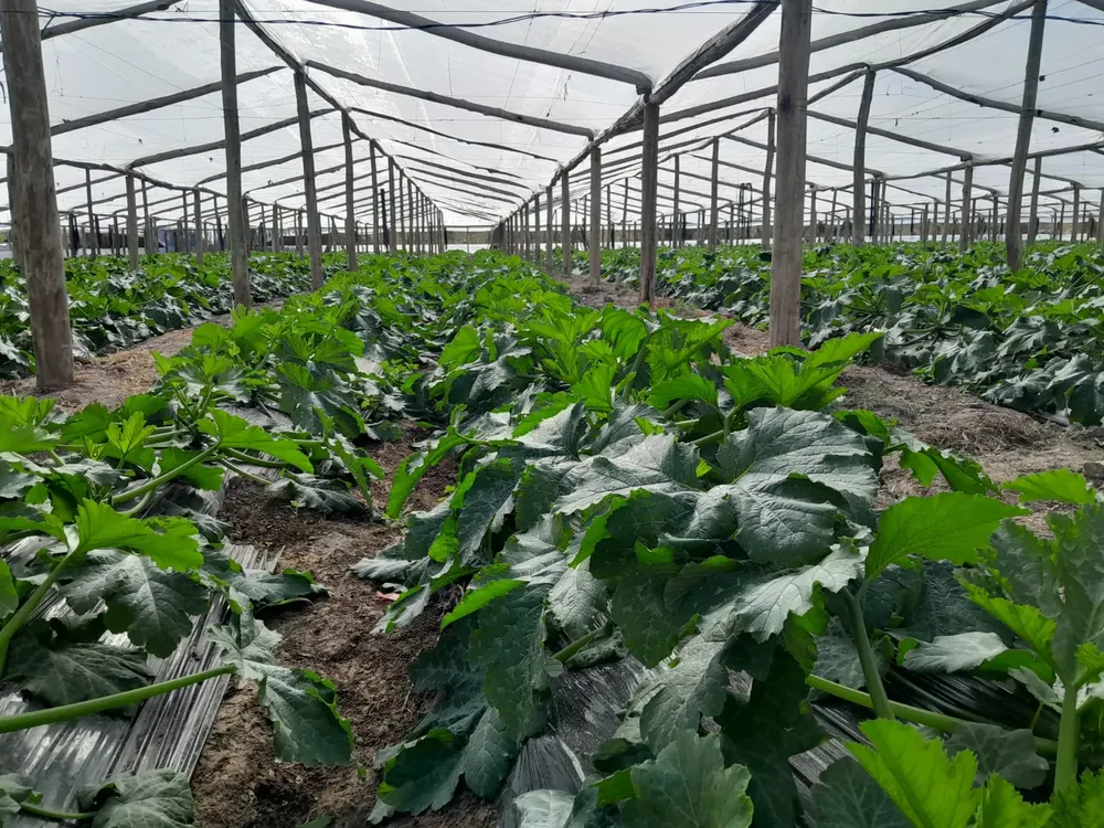 WhatsApp Image 2024-06-16 at 12.01.34