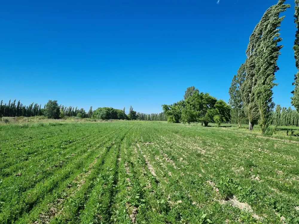 Lote en Bella Vista