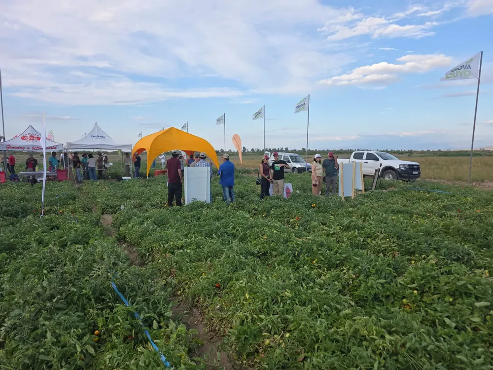 WhatsApp Image 2026-01-13 at 21.27.40 (1)