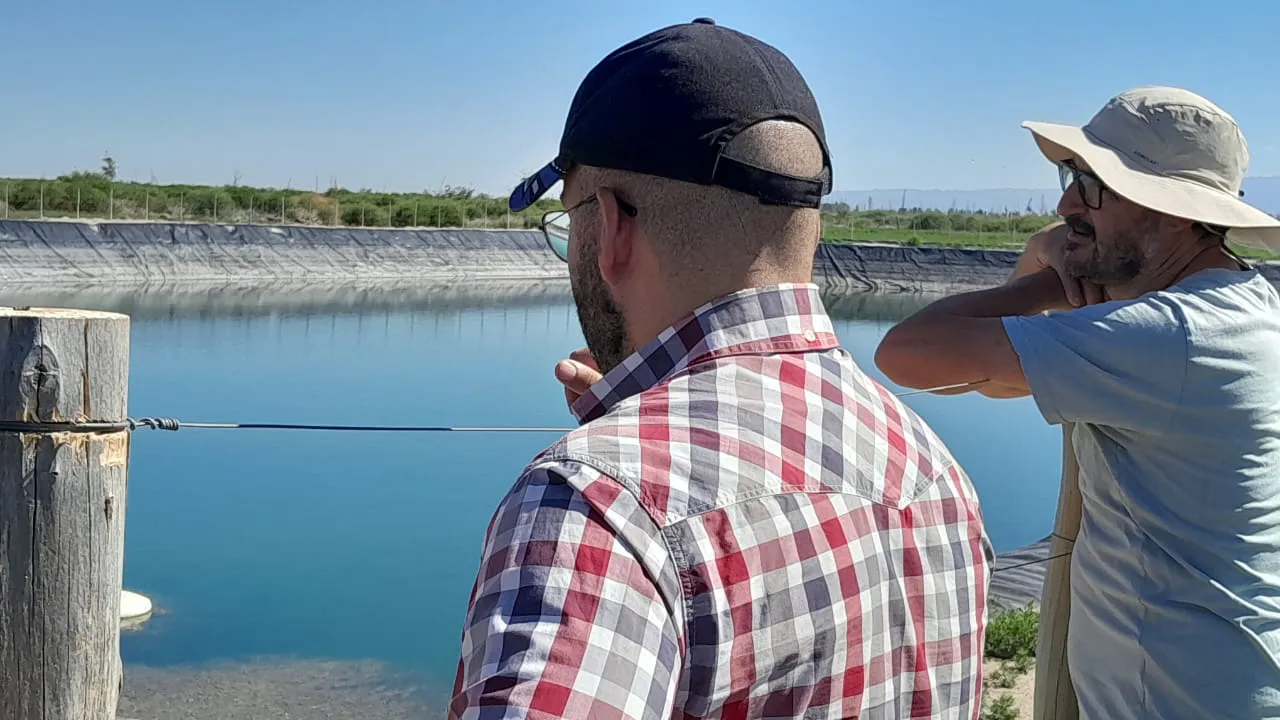 WhatsApp Image 2025-11-14 at 16.57.25